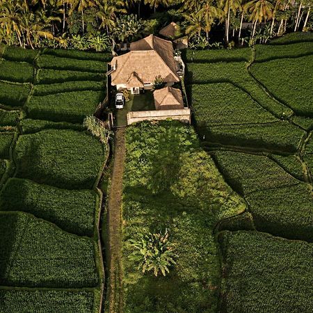 Eden Valley 우붓 외부 사진